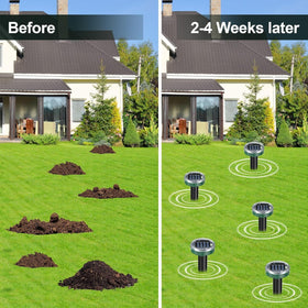 Waysla ultrasonic pulses every 20 seconds deter burrowing pests