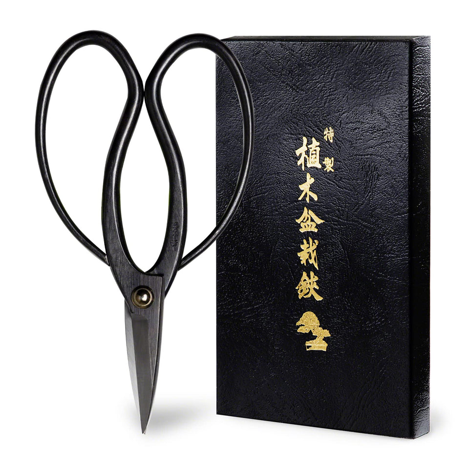 Wazakura Hanafubuki bonsai scissors close-up blade for precise pruning