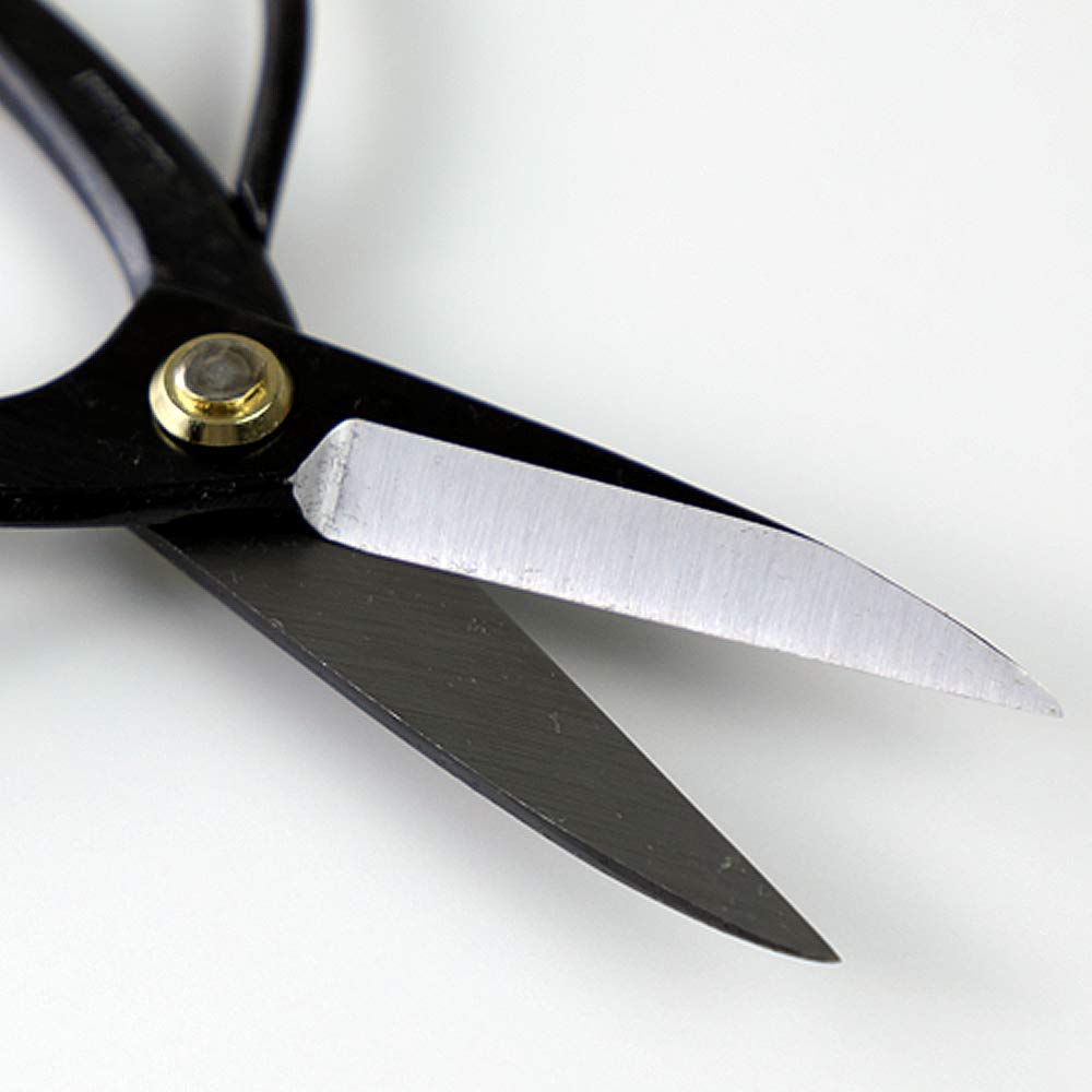 Carbon steel edge on Wazakura bonsai scissors for durability and sharpness