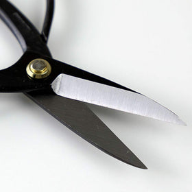 Carbon steel edge on Wazakura bonsai scissors for durability and sharpness