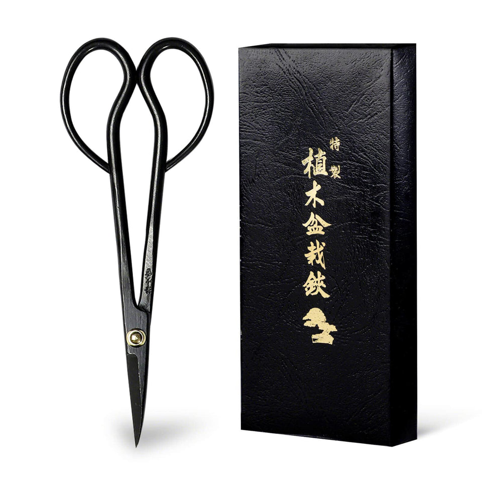 Wazakura Satsuki bonsai scissors full-length view for precise pruning.