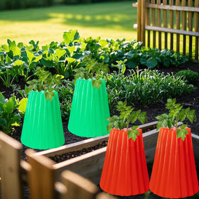 Wazitin protection for diverse crops like tomatoes and cucumbers using water walls.