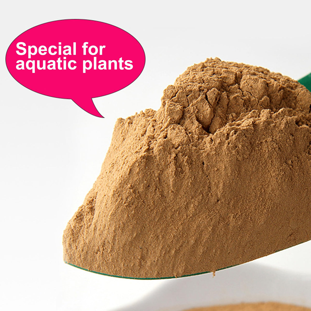 WBHWW Soil retains moisture to support healthy roots