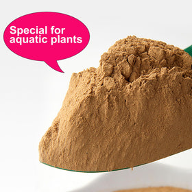 WBHWW Soil retains moisture to support healthy roots