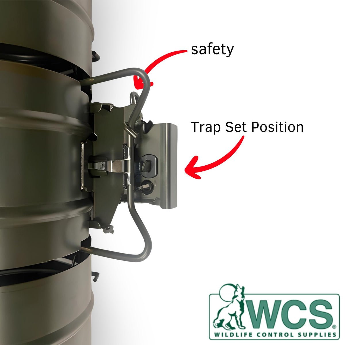 WCS Easy Set Tube Squirrel Trap in action guarding a yard