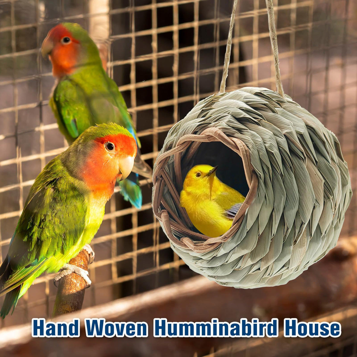 WDEFUN garden window placement bird house for indoor viewing