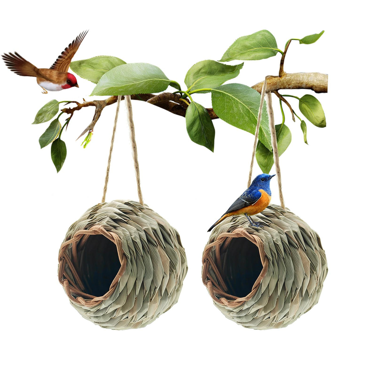 WDEFUN outdoor hanging hummingbird house in garden