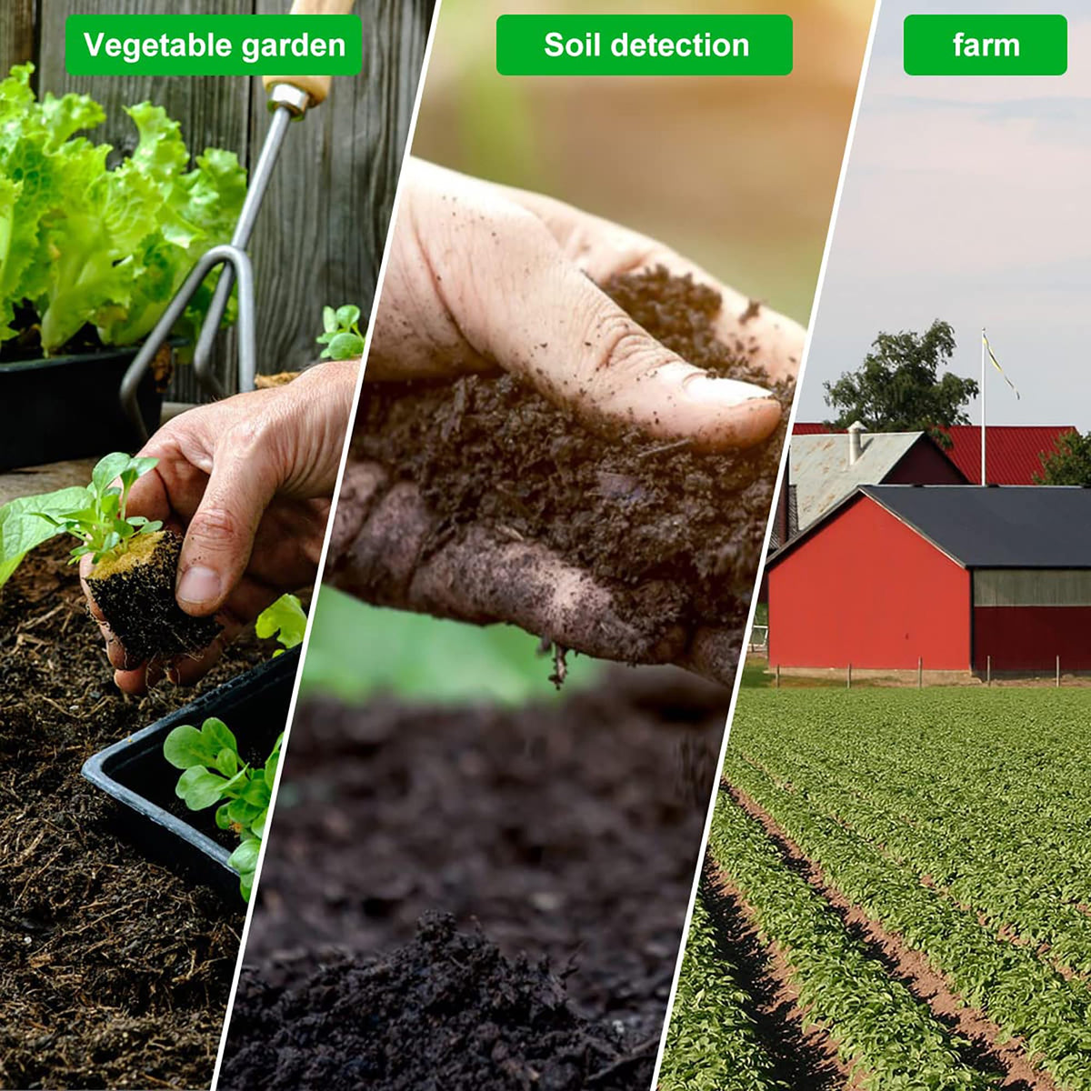 Wdlxmzx soil sampling kit contents and packaging shown for convenience.