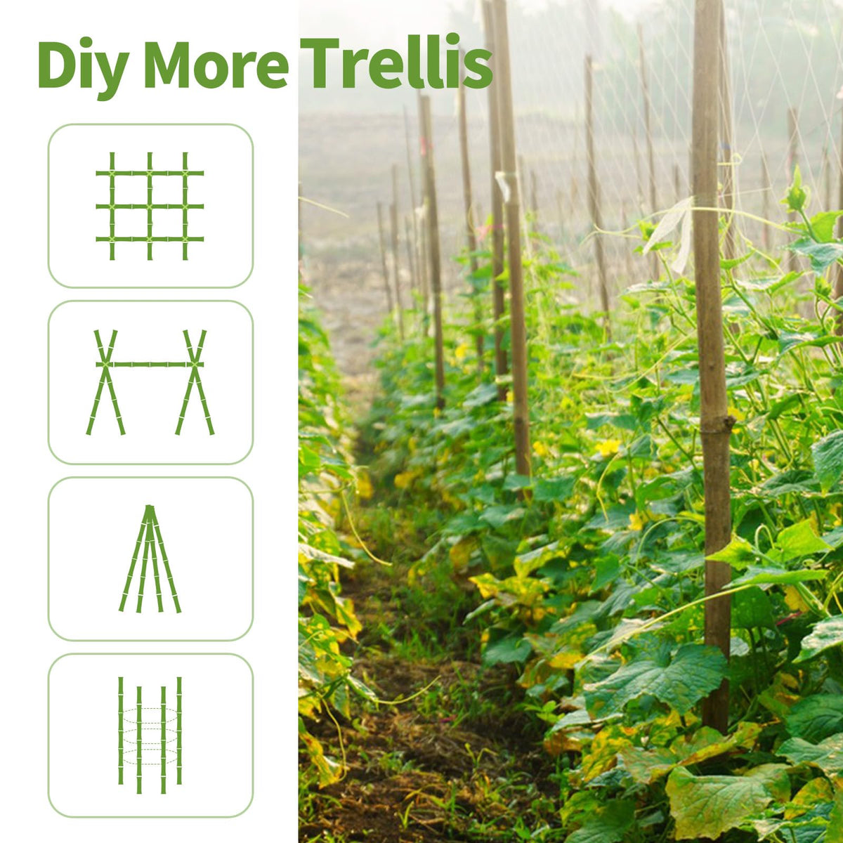 WDZZHOT bamboo stake for beans guiding climbing vines in the garden.