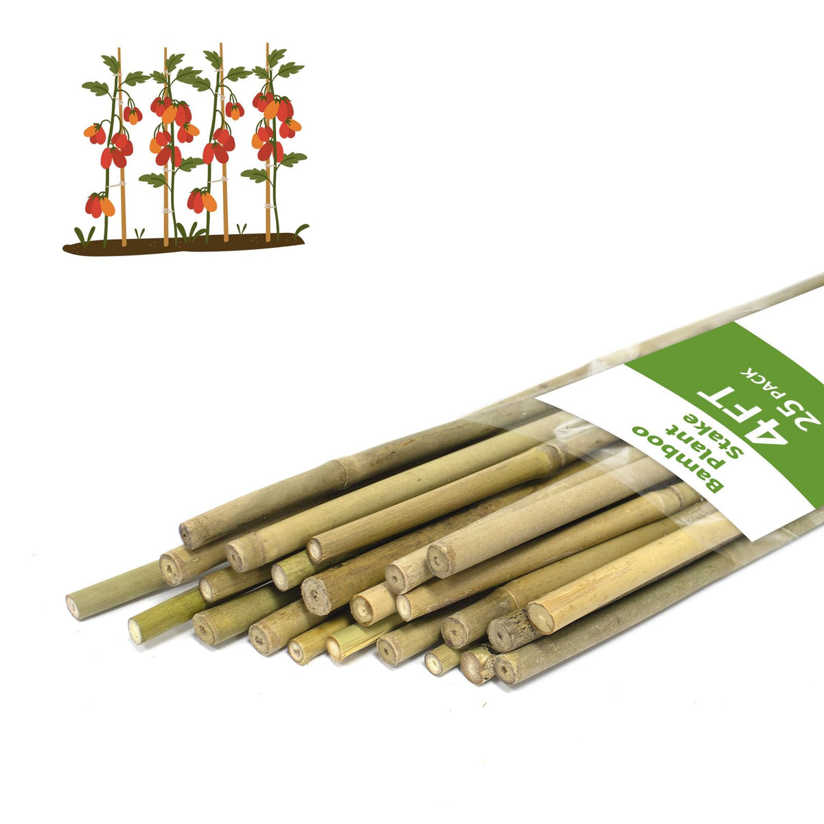 WDZZHOT 4ft natural bamboo plant stake supports tomato plants upright.