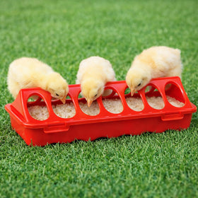 Weartfun 8-inch trough with 12 feeding ports supports orderly feeding for chicks.
