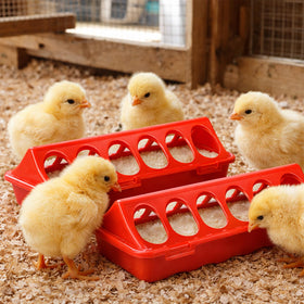 Weartfun anti-waste design minimizes waste while chicks feed.