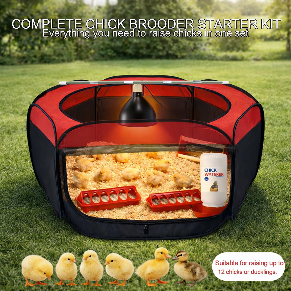 Weartfun chick feeder troughs 2-pack enabling tidy, continuous feeding.