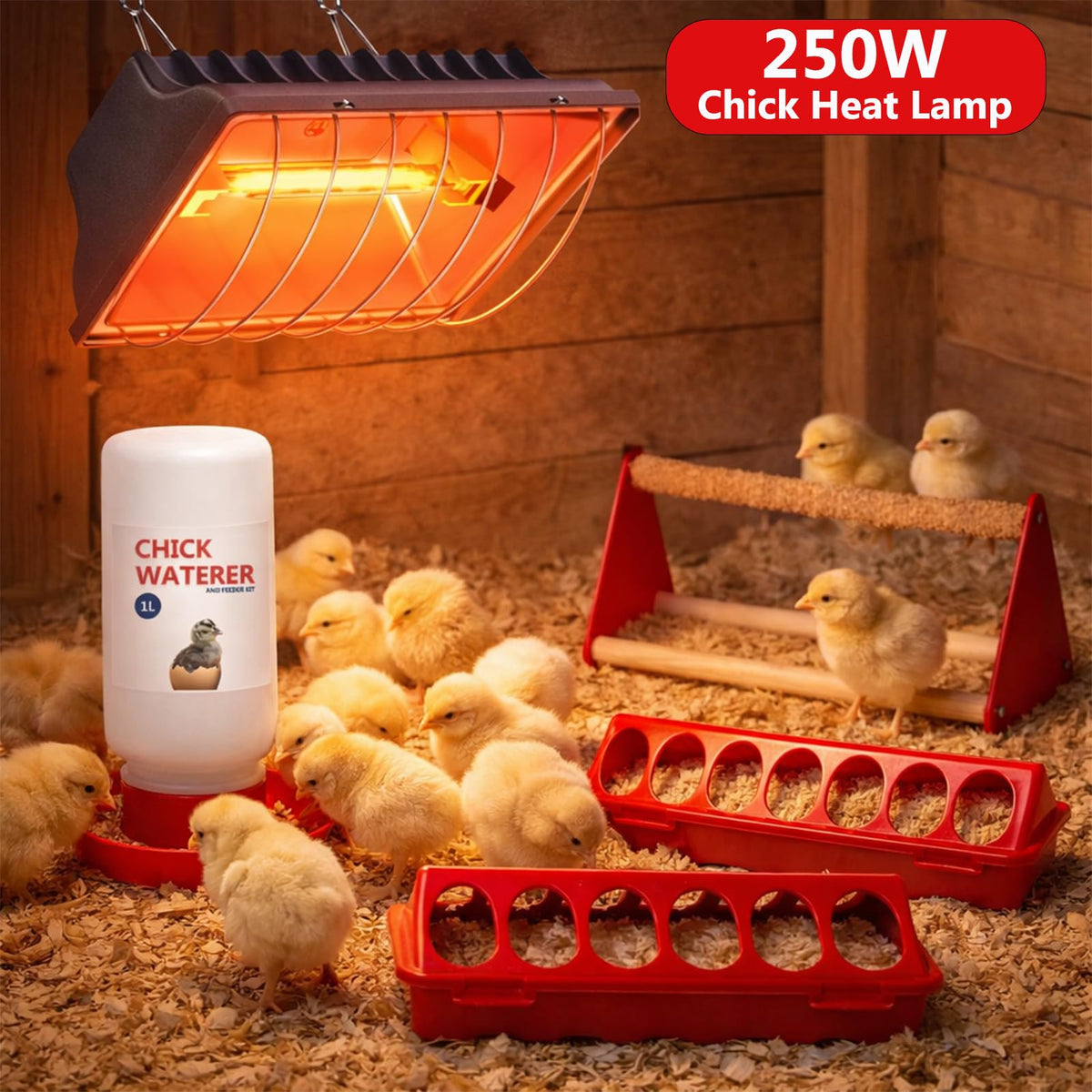 Weartfun chick feeder troughs for easy feeding and reduced waste.