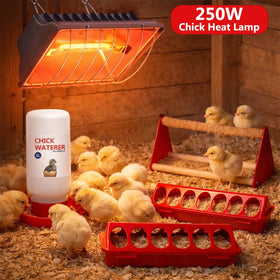 Weartfun chick feeder troughs for easy feeding and reduced waste.