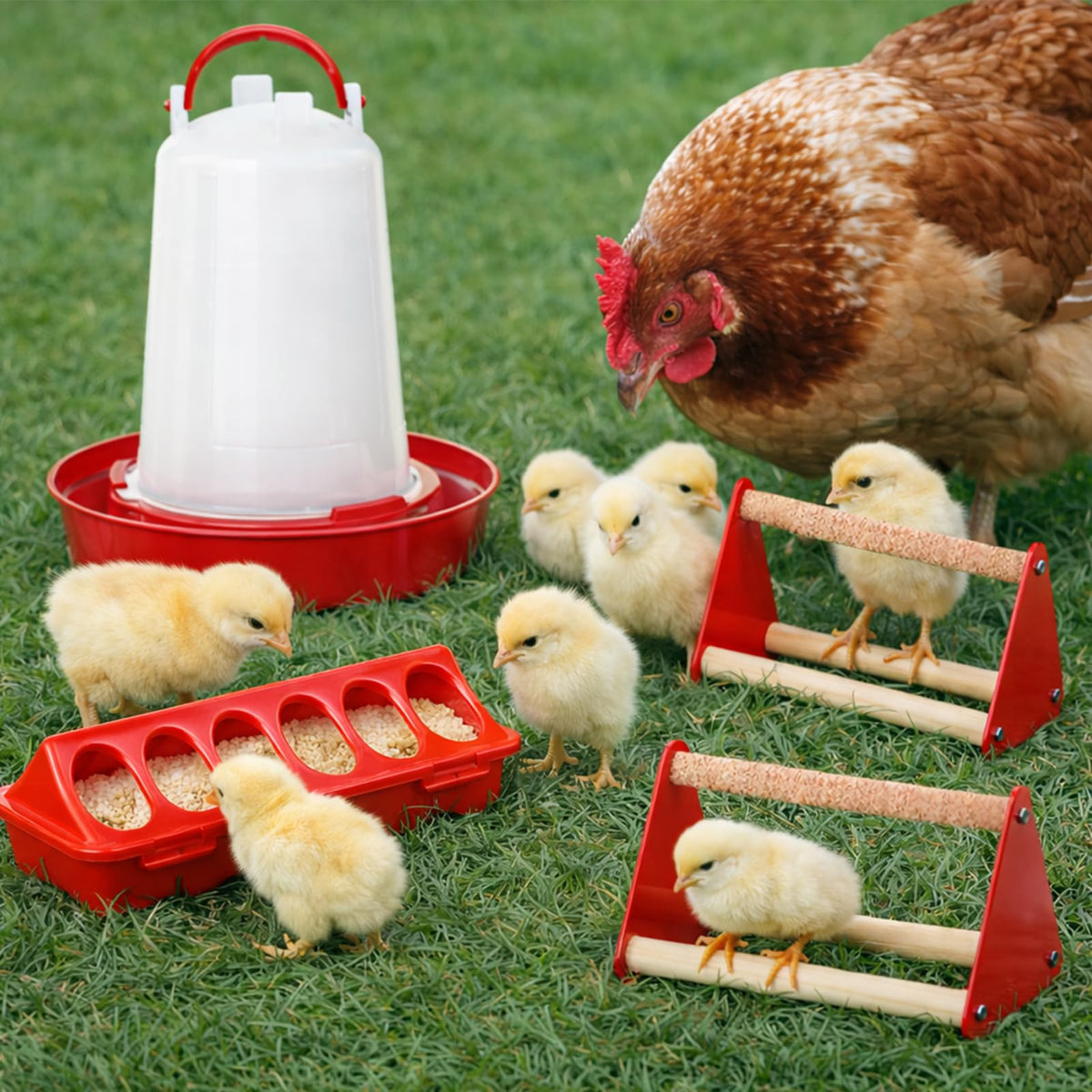 Weartfun 0.4 gallon waterers reduce refills during busy days.