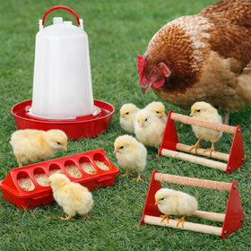 Weartfun 0.4 gallon waterers reduce refills during busy days.