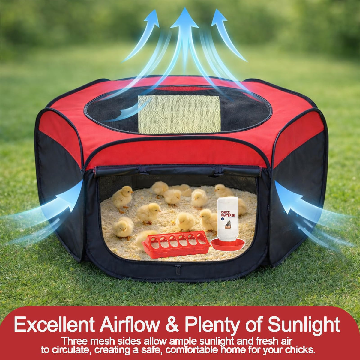 Weartfun chick waterer 1L ensures constant access to clean water.