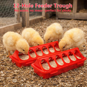 Weartfun plastic poultry feeder trough reduces spills and keeps feed accessible for small birds.