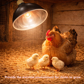 Weartfun Wooden Perches Natural Roosting for balanced chick development