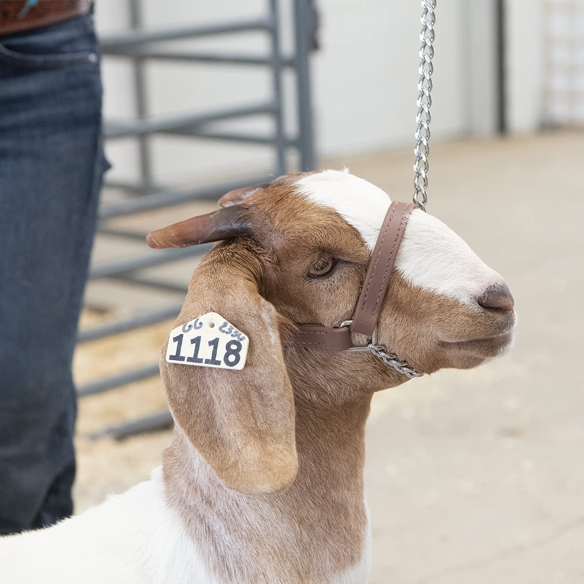 Weaver Leather Brahma Webb goat halter side view showing durable weather resistant material