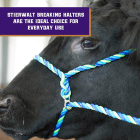 Weaver Livestock adjustable calf halter with lead for training and daily management