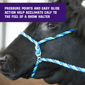 Weaver Livestock adjustable cattle halter fit, suitable for calves to adults