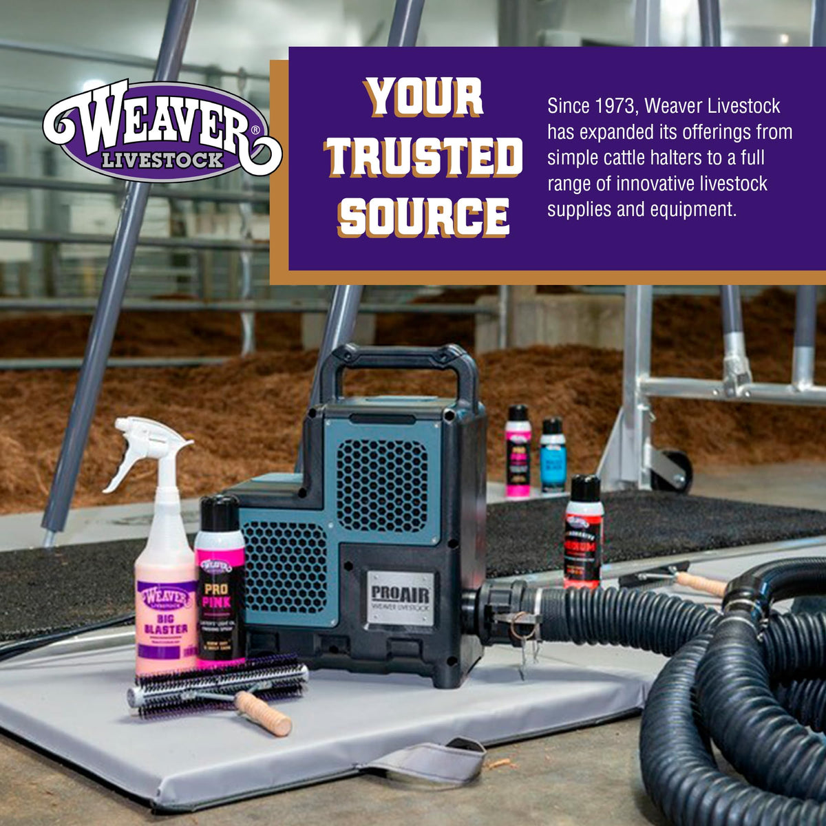 Weaver Livestock Barn Brush suitable for all livestock types.