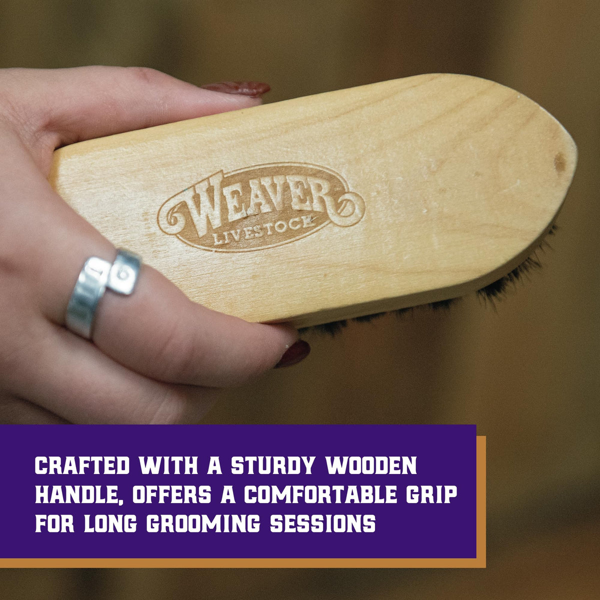 Weaver Livestock Barn Brush ideal for show day prep and presentation.