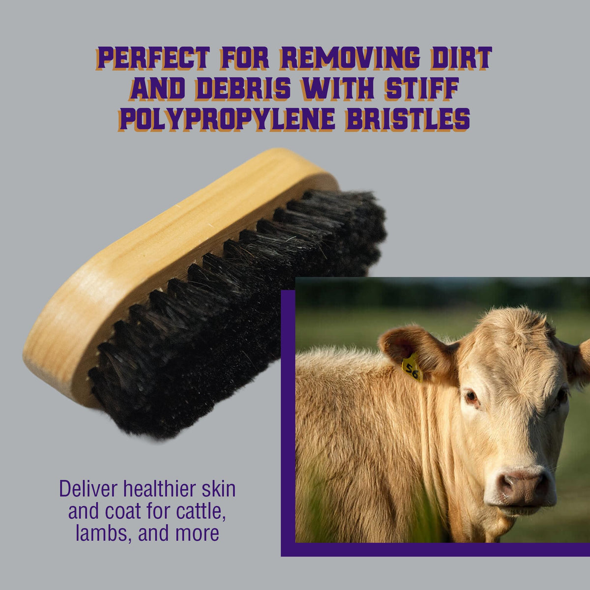 Weaver Livestock Barn Brush with wooden handle for comfortable long grooming.