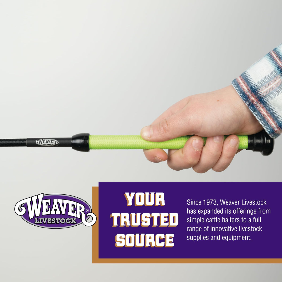 Weaver Livestock show whip in ring demonstrates balanced reach and close guidance