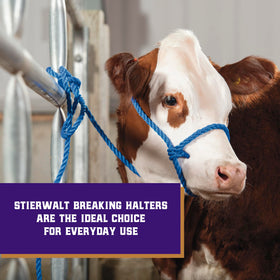 Weaver Livestock nickel-plated hardware detail on halter, smooth sliding action