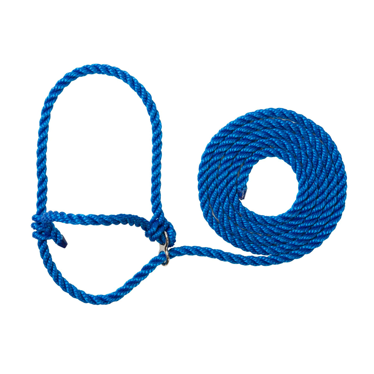 Weaver Livestock poly rope breaking halter in blue, showcased for calm cattle handling and control
