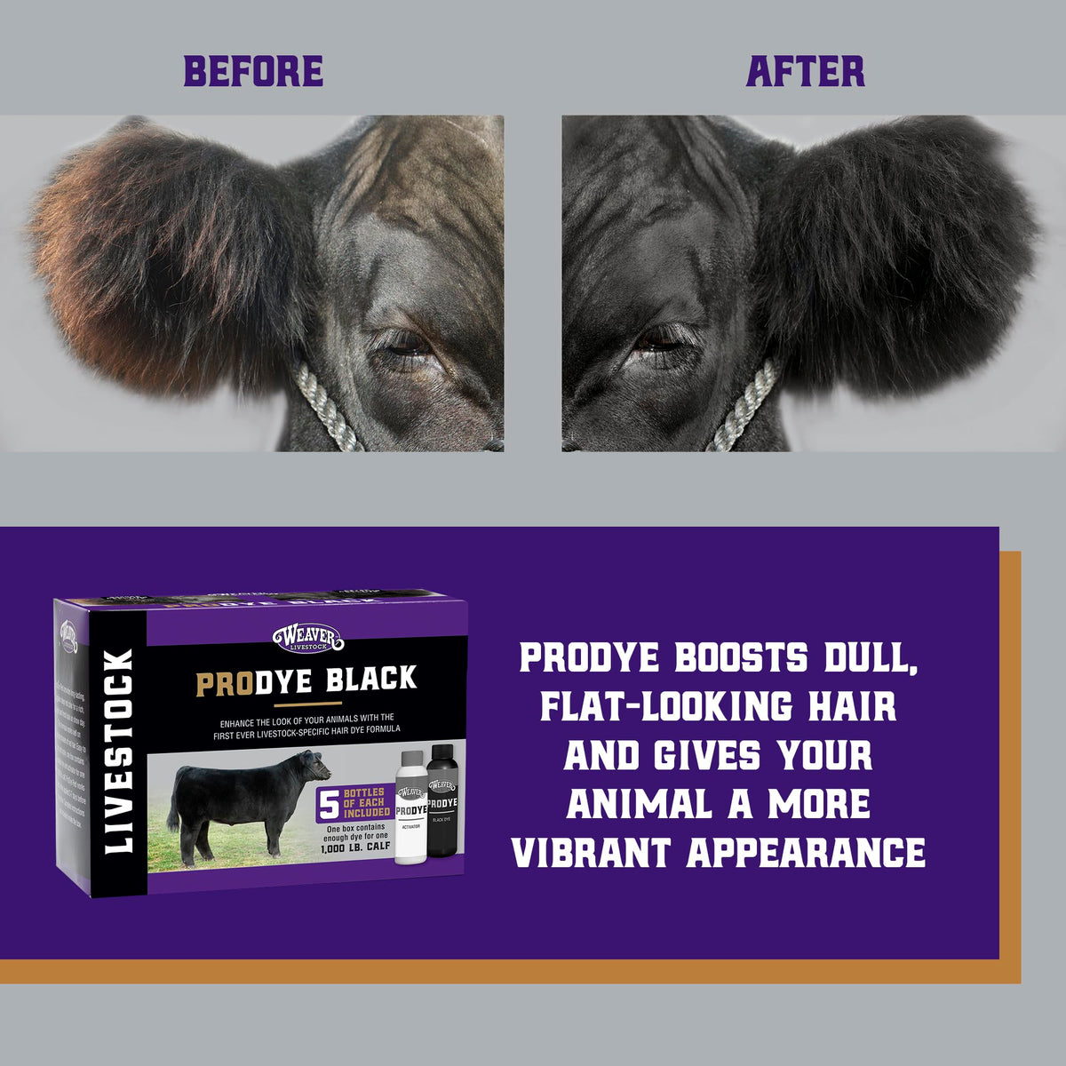 Weaver Livestock ProDye activator bottle for precise mixing and coverage