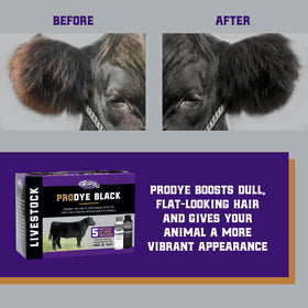 Weaver Livestock ProDye activator bottle for precise mixing and coverage