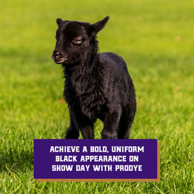 Weaver Livestock ProDye coverage diagram shows uniform depth