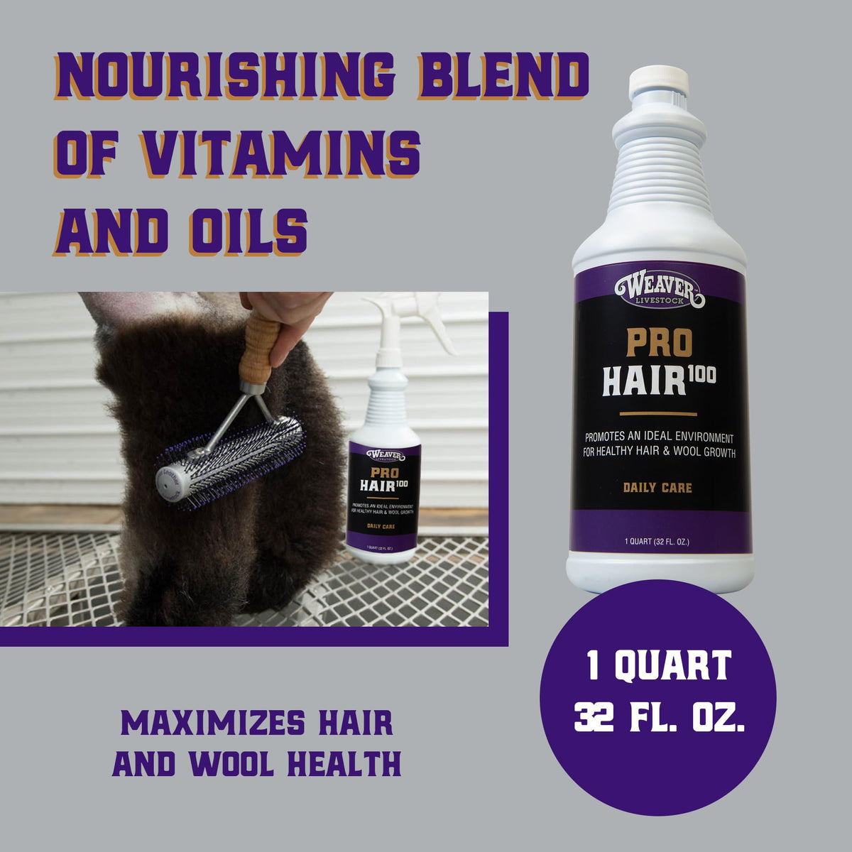 Weaver Livestock ProHair100 hair close-up shows thicker, healthier-looking coat.