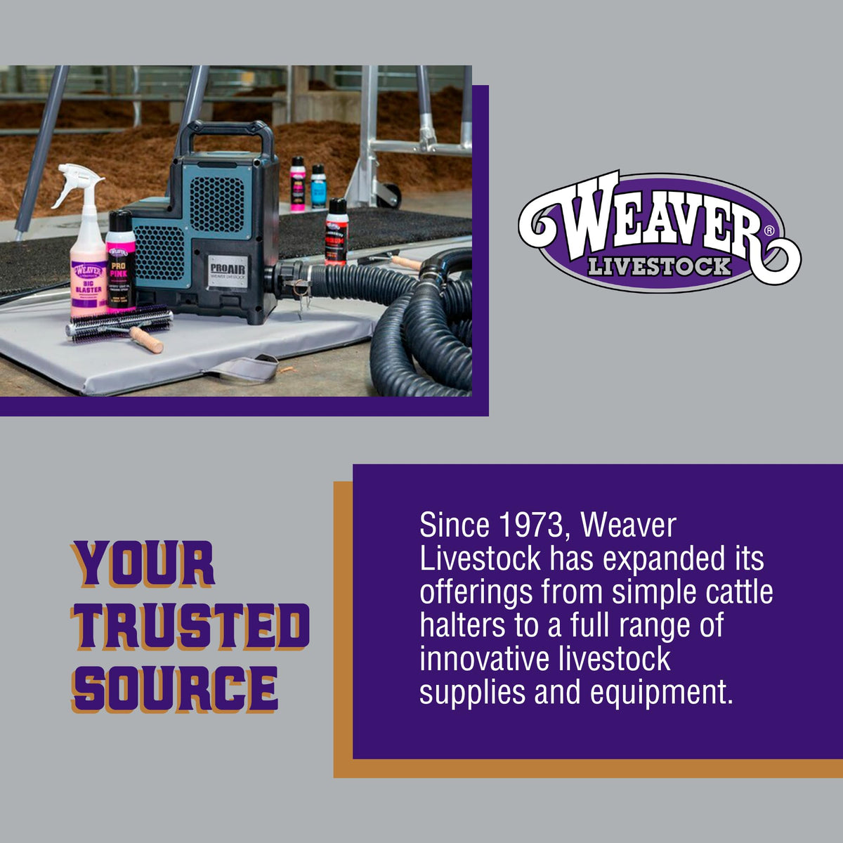 Versatile Weaver Livestock stick suitable for multiple breeds and show classes