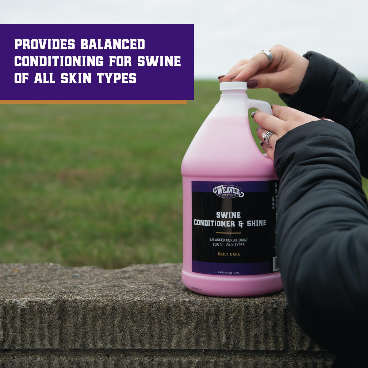 Weaver Livestock Swine Conditioner daily application improves skin hydration and comfort