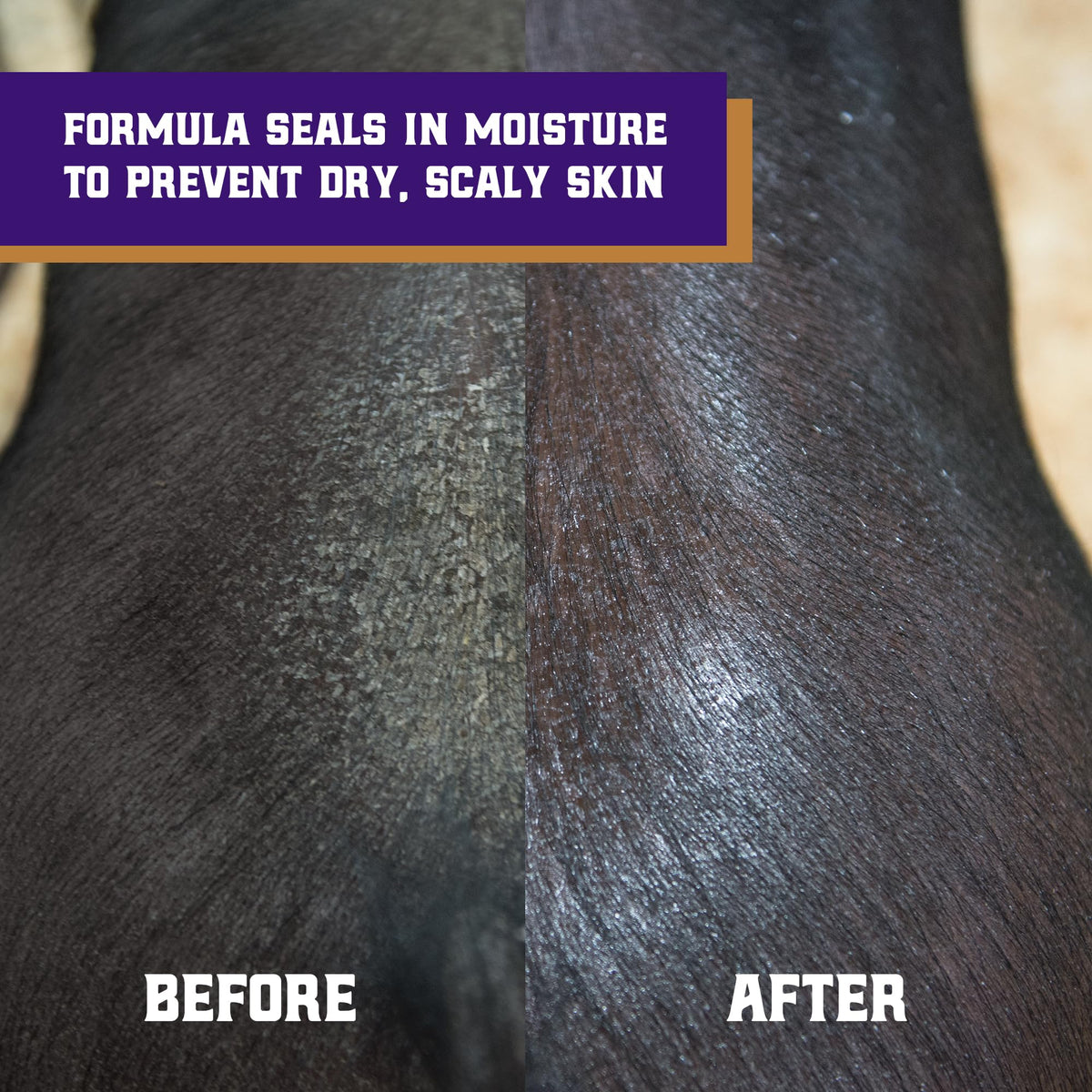 Weaver Livestock Swine Conditioner skin hydration reduces dryness and itch