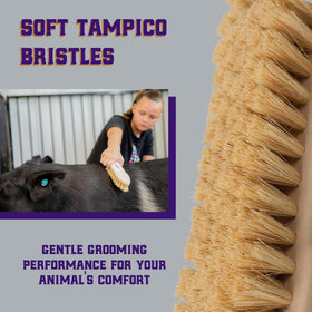 Weaver Livestock Tampico Pig Brush deep-clean coat removes dirt and dandruff
