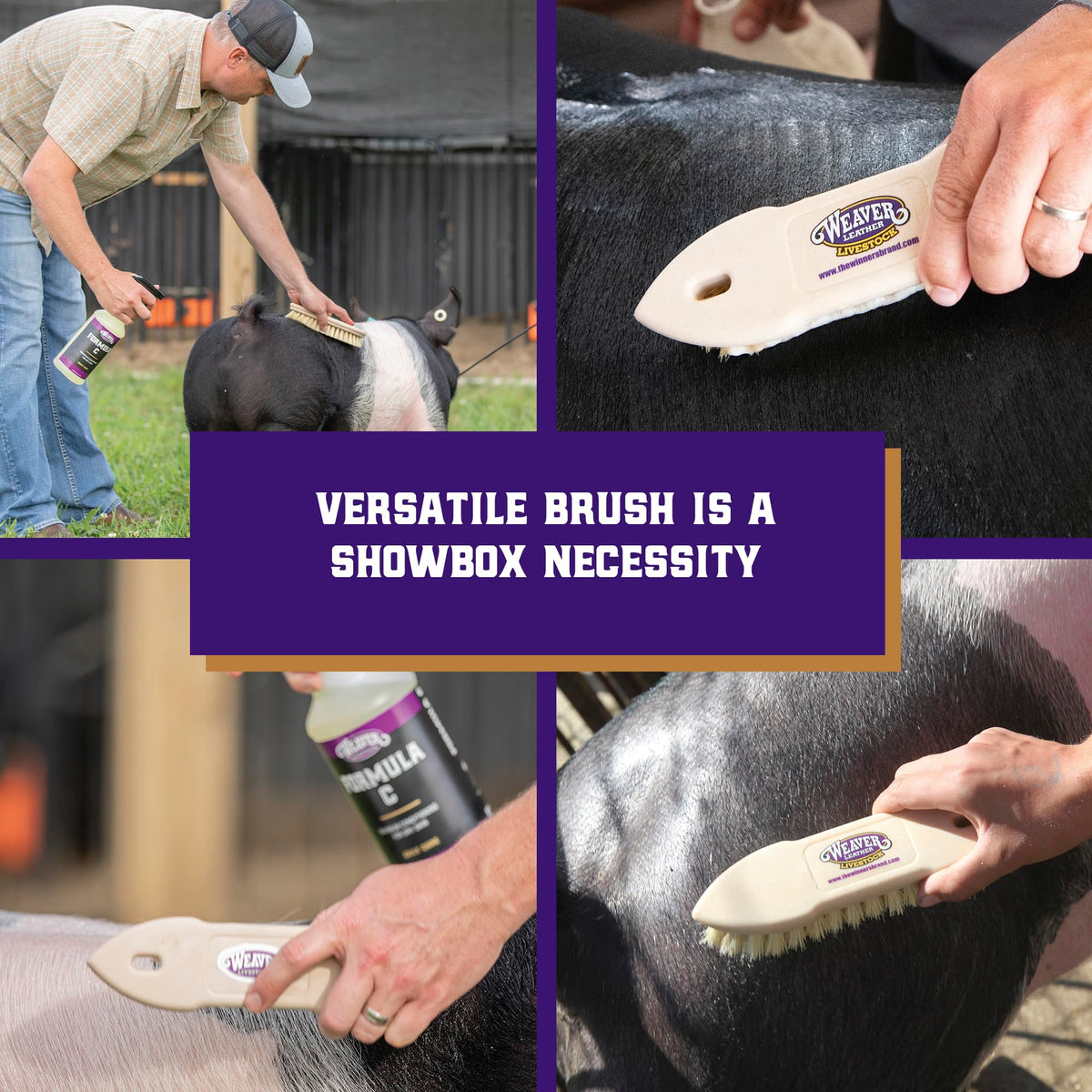 Weaver Livestock Tampico Pig Brush show-day ready coat across breeds