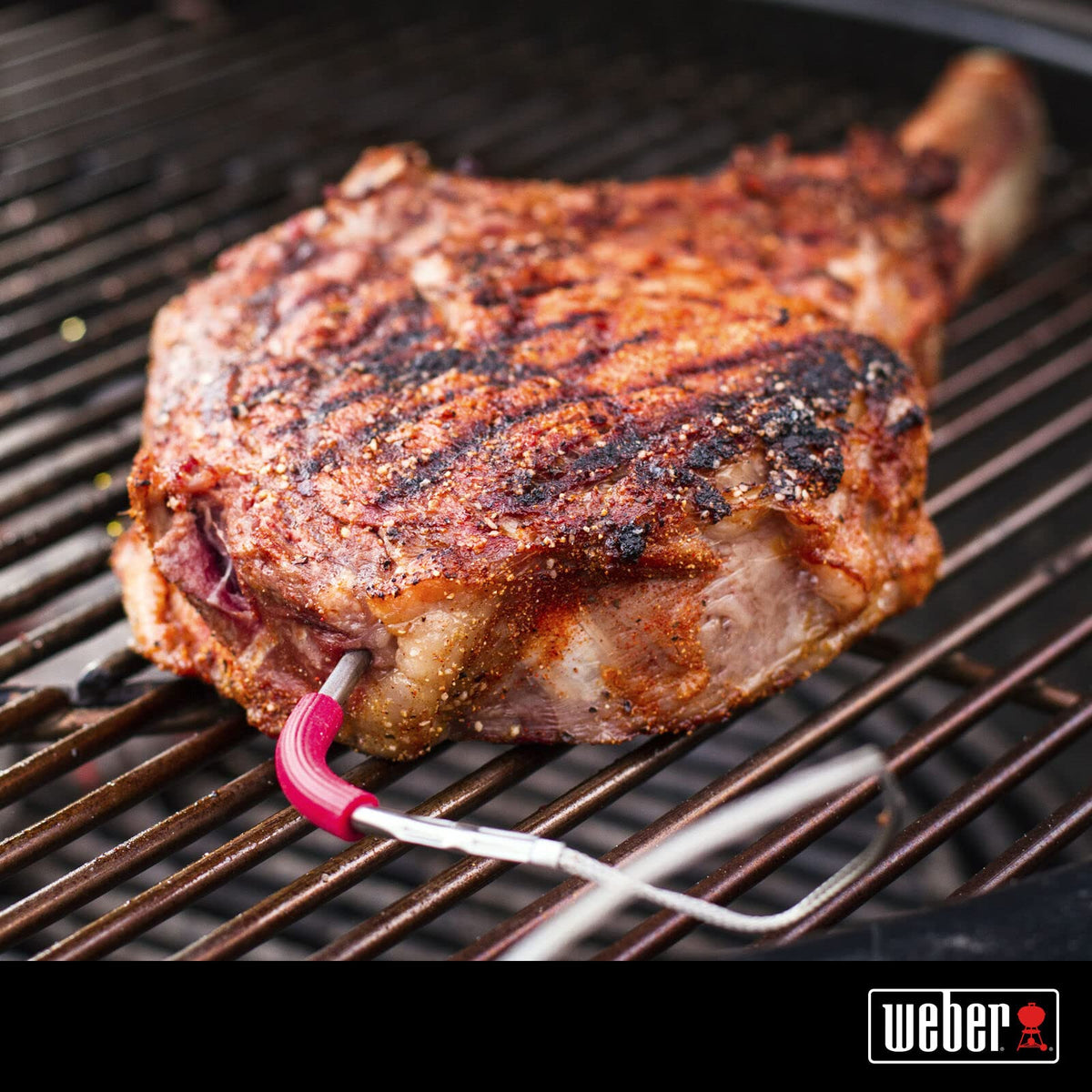 Weber iGrill Pro meat probe on 48 inch cable for flexible grilling