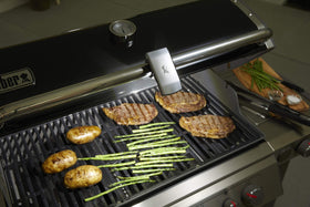 Weber manual power source keeps setup simple and portable.