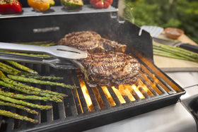 weber spirit e435 with snap-jet ignition lights burners with one hand.