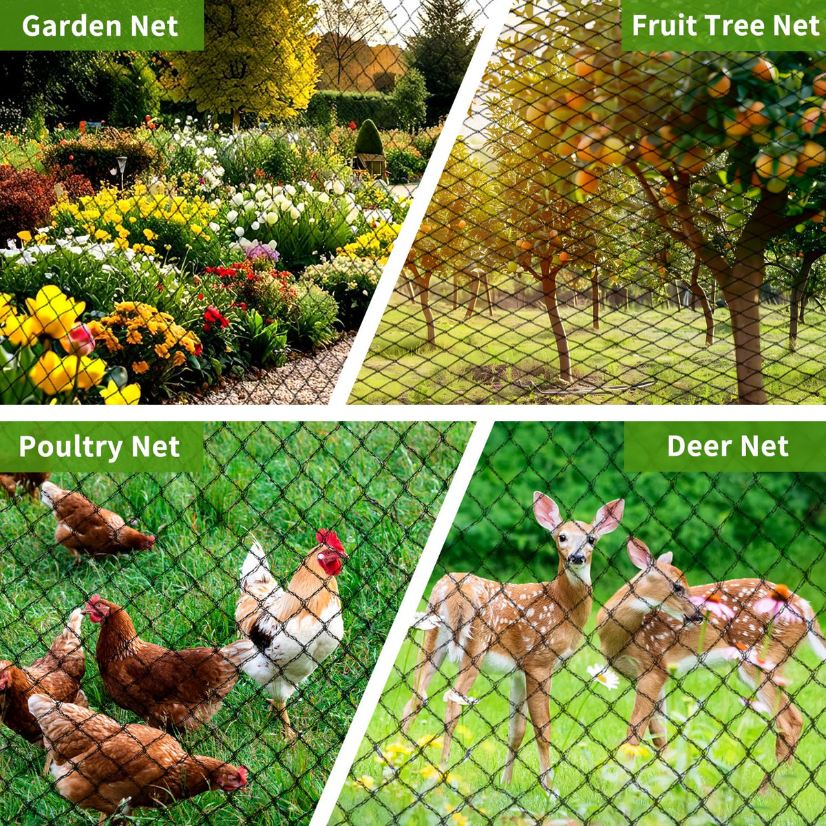 Webuys chicken coop protection nets options for secure housing.
