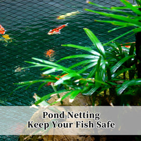 Webuys fruit tree protection netting safeguards harvests from pests.