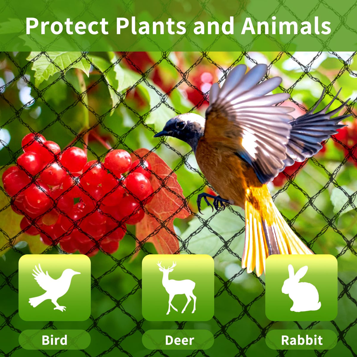 Webuys ground nails anchor netting securely into soil for stability.
