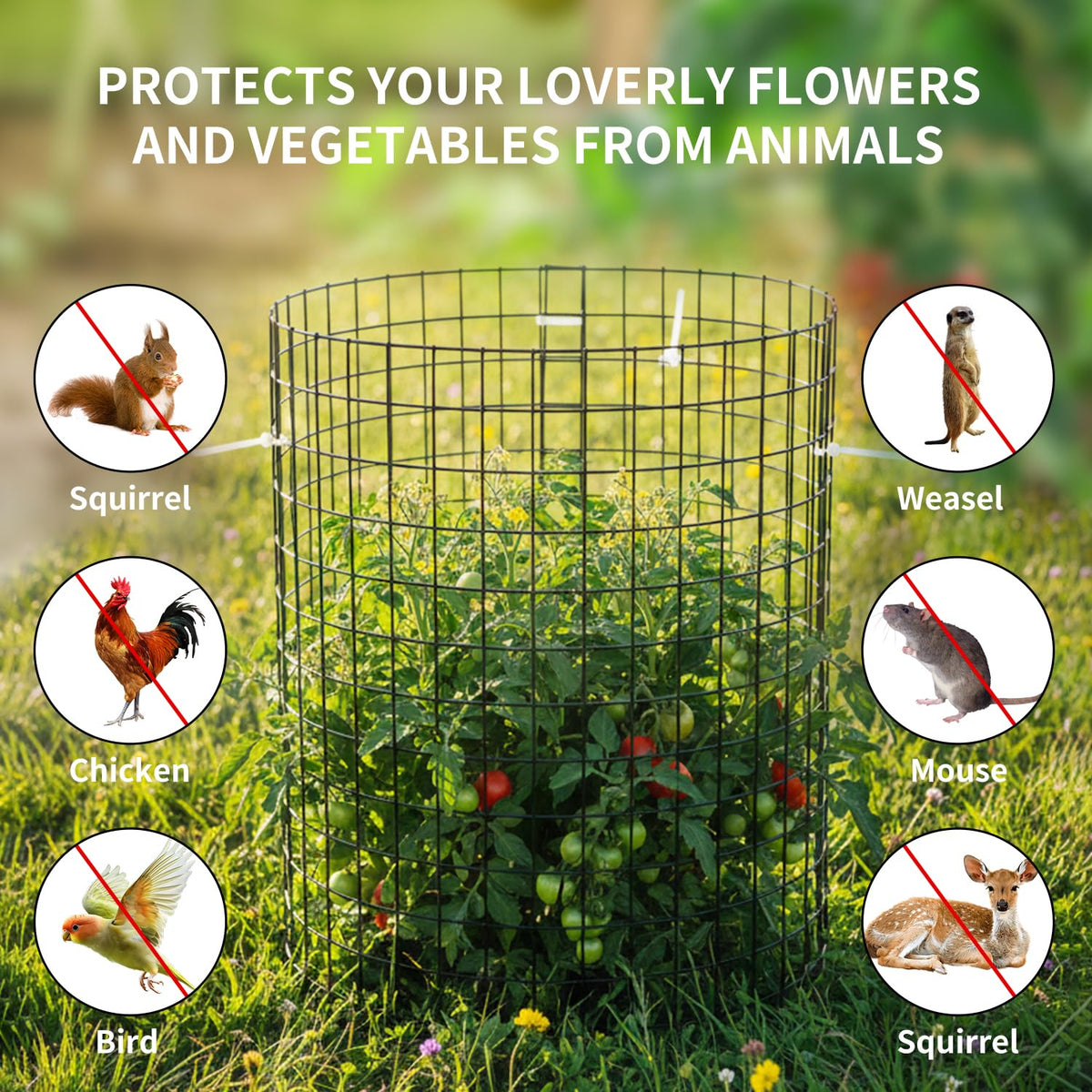 Wedmetal multi-panel cage adapts to different garden layouts.