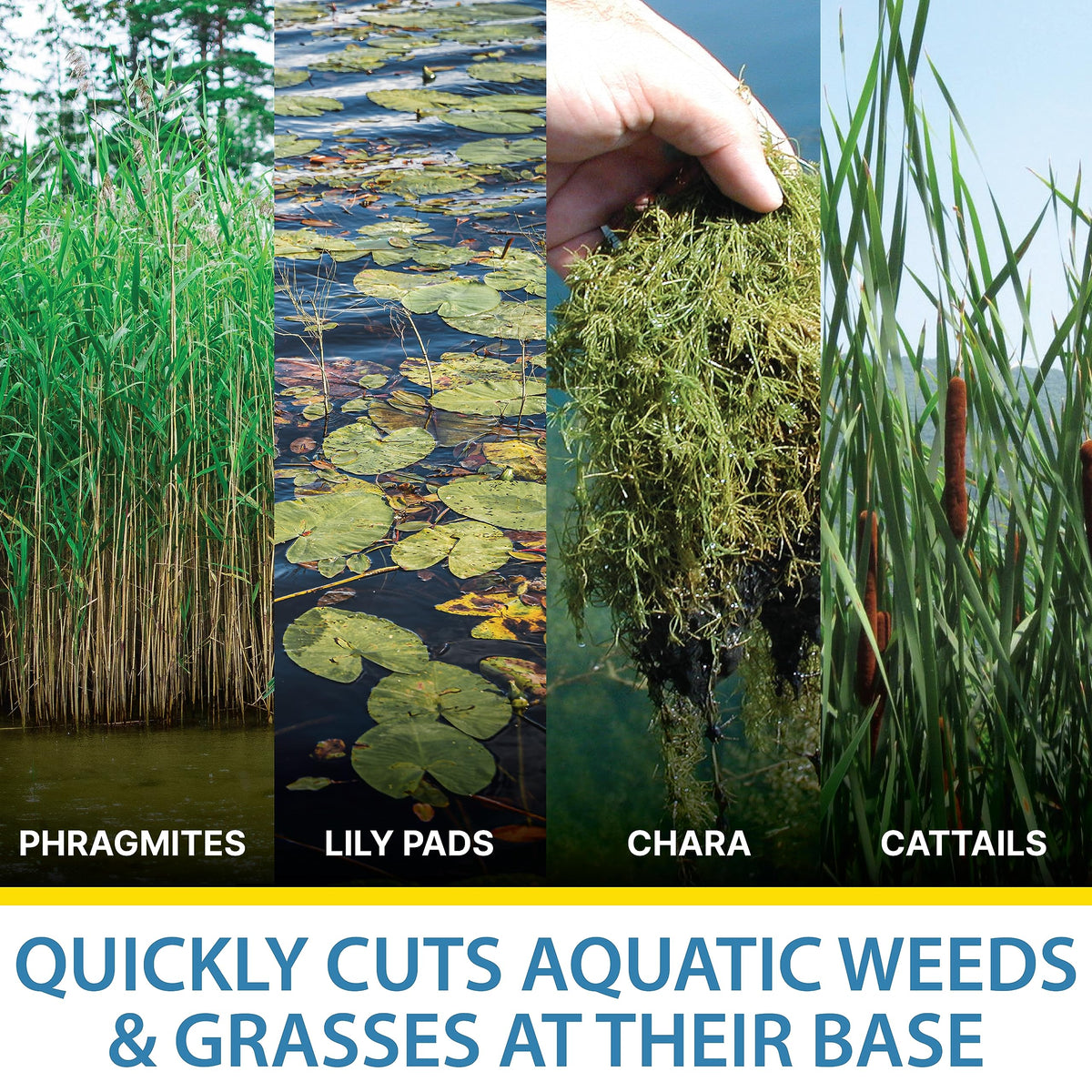 Weed Razer eight-pound design highlights easy casting and base sinking